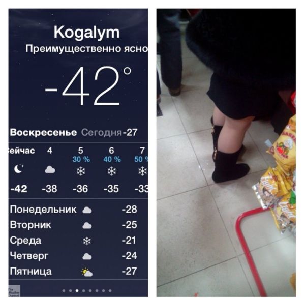 Забавные картинки