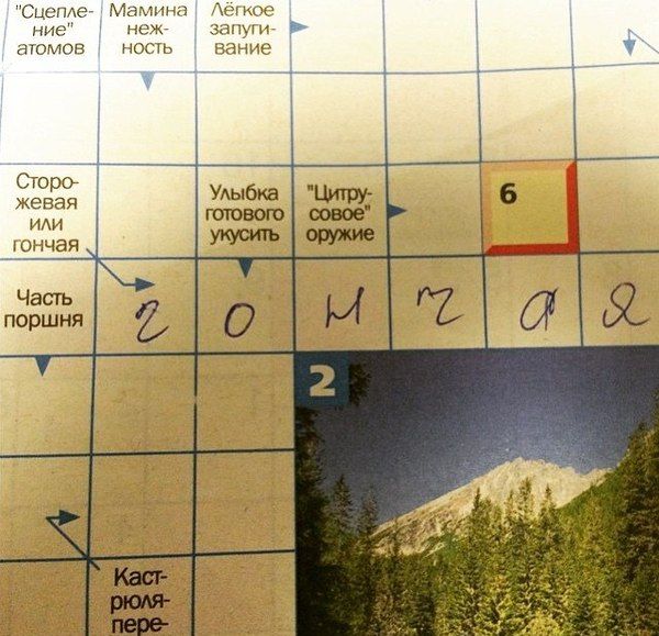 Забавные картинки