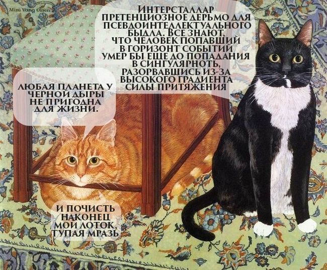 Забавные картинки