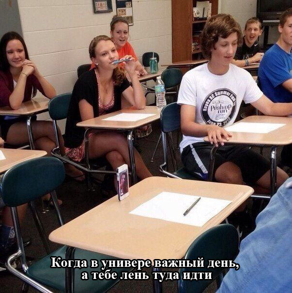 Забавные картинки