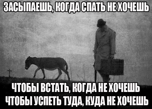 Веселые картинки и не очень