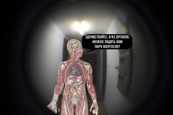 Веселые картинки и не очень