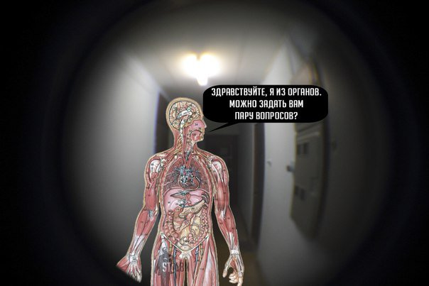 Веселые картинки и не очень