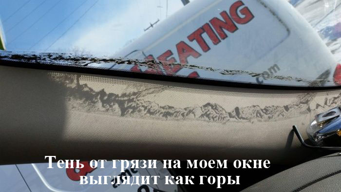 Забавные картинки