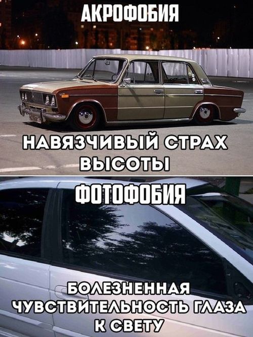 Забавные картинки