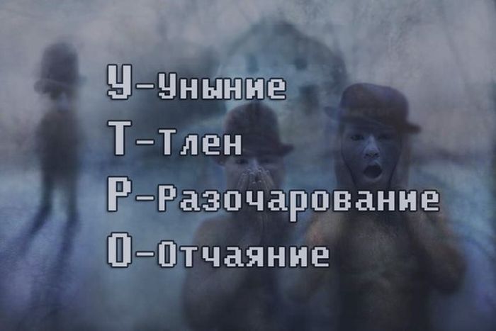 Забавные картинки