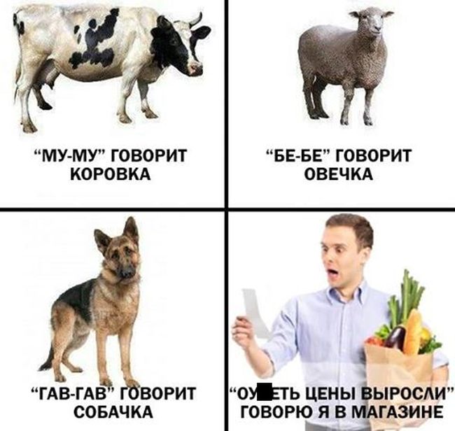 Забавные картинки