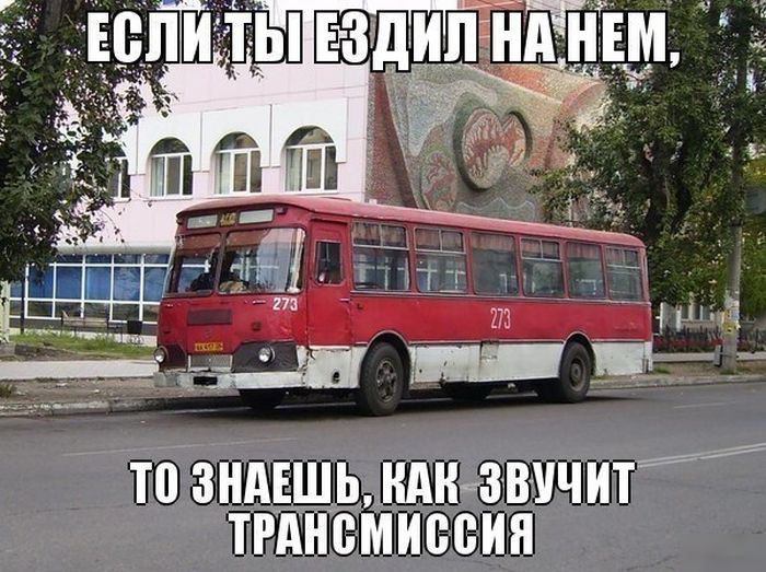 Порция картинок