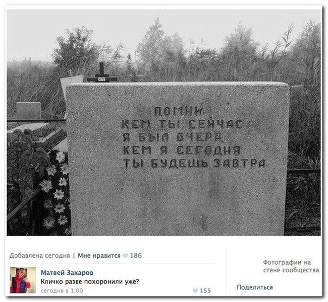 Порция картинок