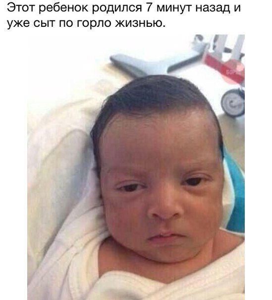 Порция картинок