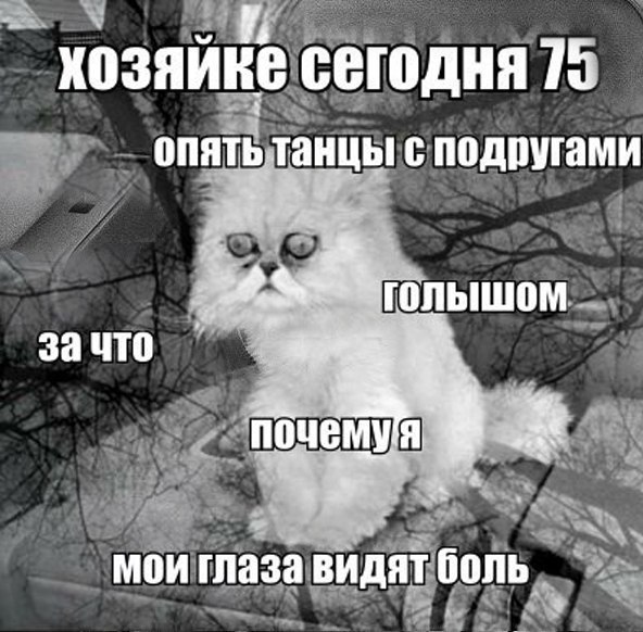 Порция картинок
