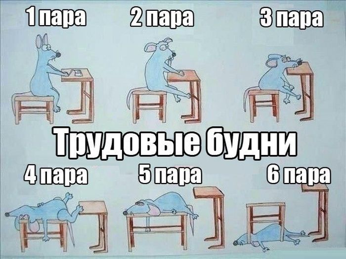 Порция картинок