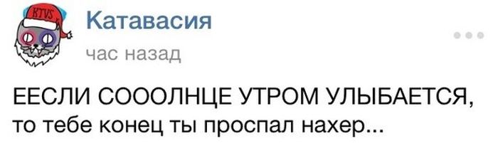 Порция картинок