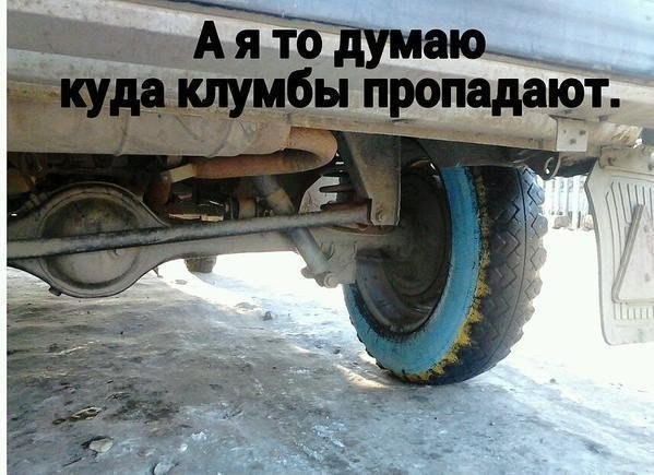 Забавные картинки