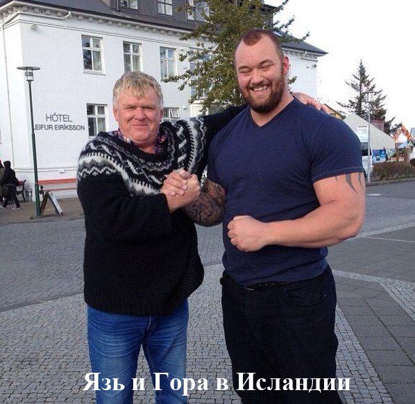 Забавные картинки