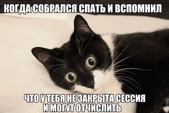Забавные картинки
