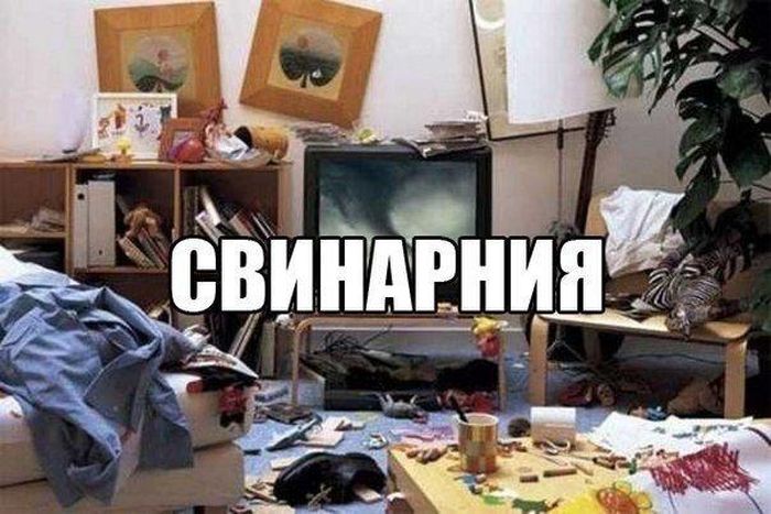Забавные картинки