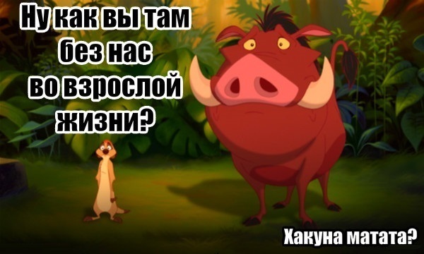Забавные картинки