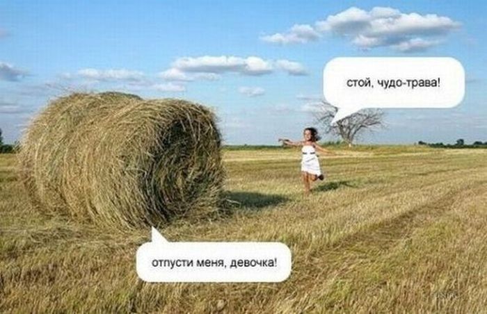 Забавные картинки