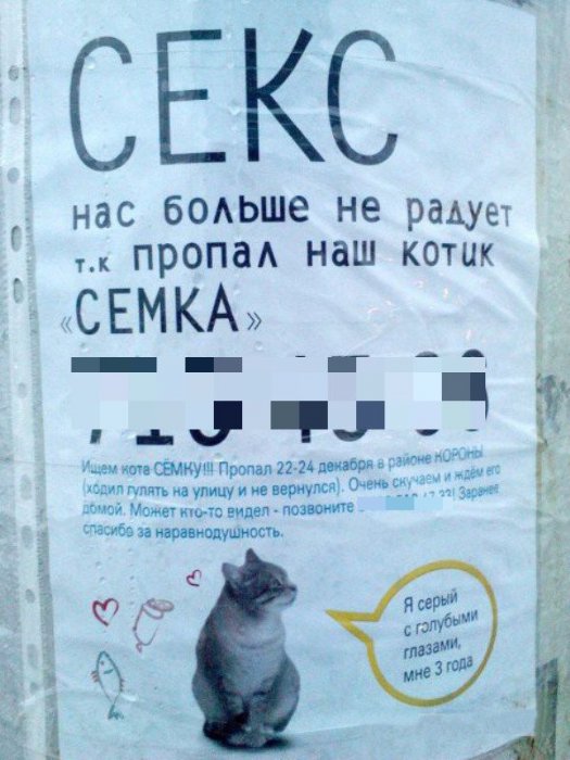 Забавные картинки