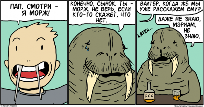 Забавные картинки