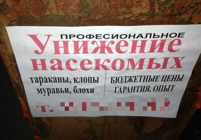 Забавные картинки