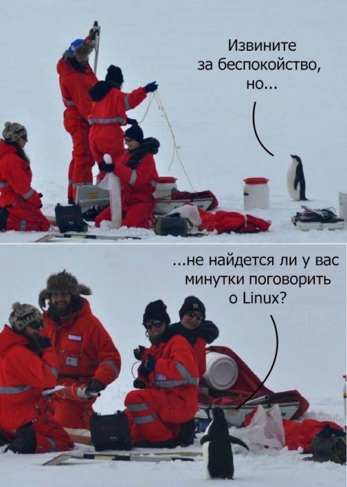 Забавные картинки