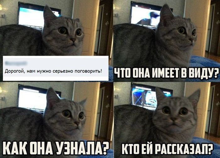 Забавные картинки