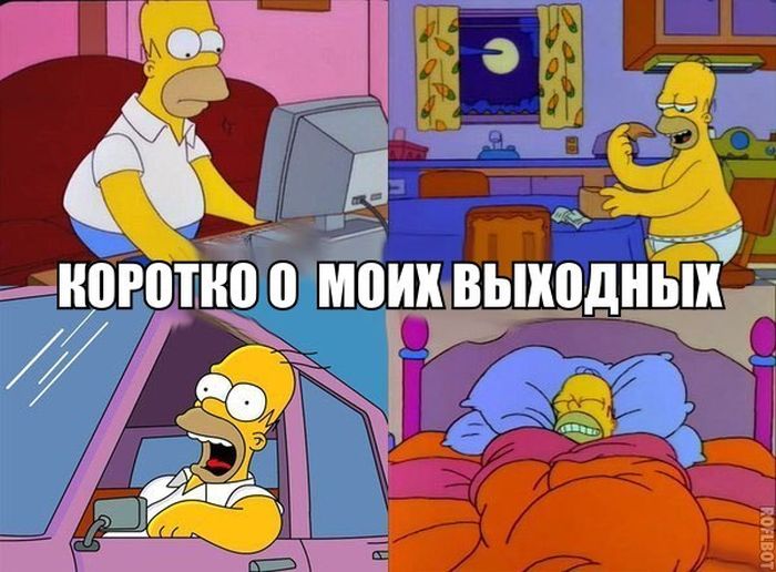 Забавные картинки