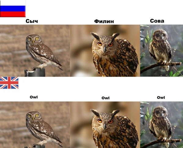 Забавные картинки