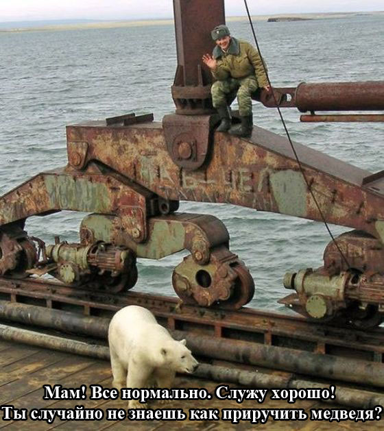 Забавные картинки