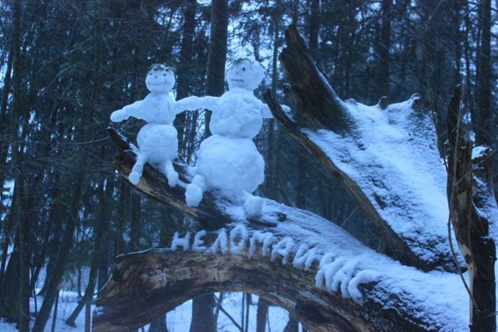 Забавные картинки