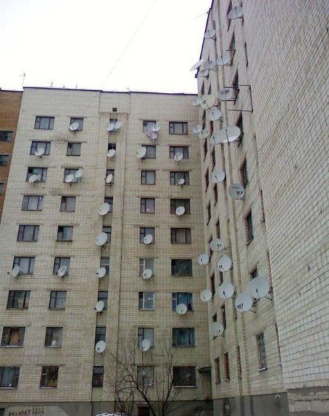 Забавные картинки