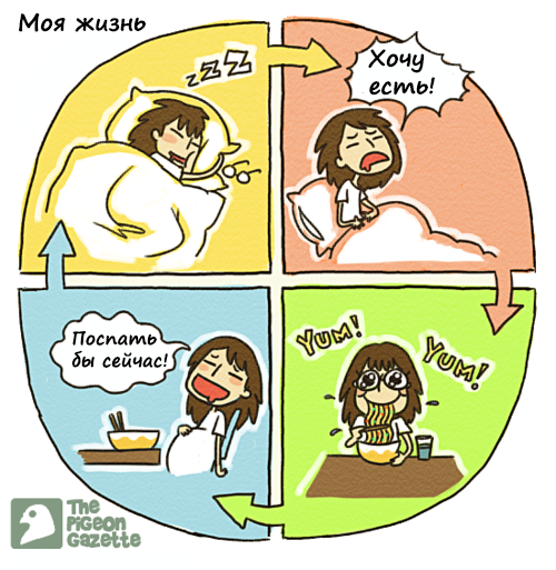 Забавные картинки