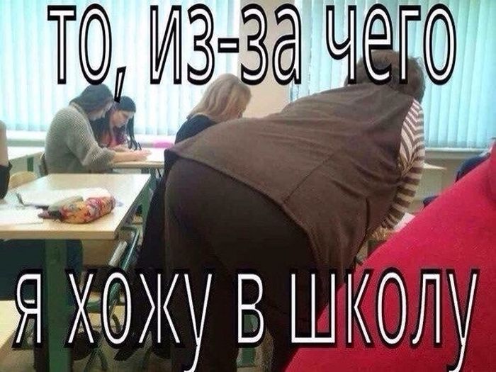Забавные картинки