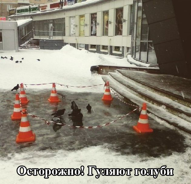 Забавные картинки