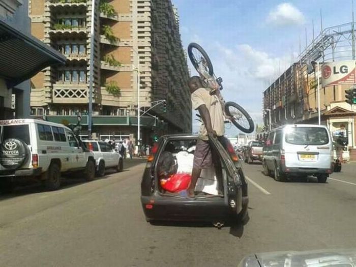 Забавные картинки