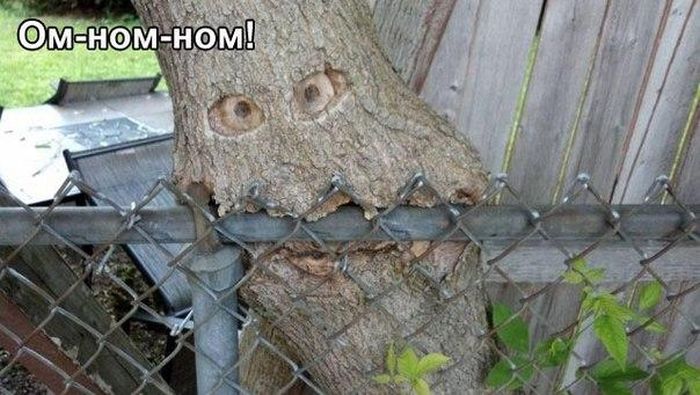 Забавные картинки