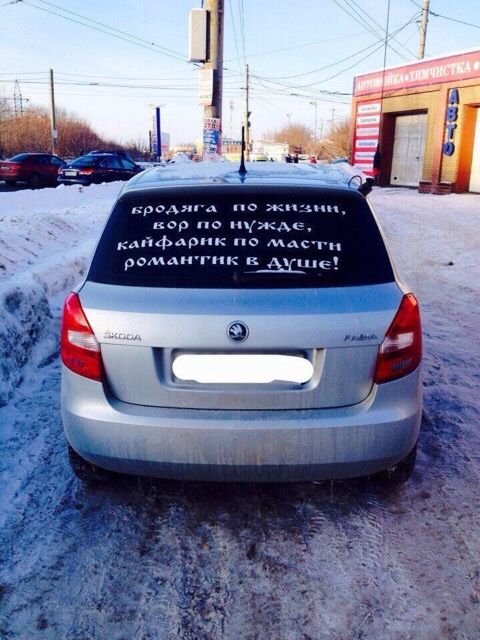 Забавные картинки