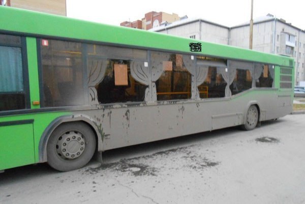 Забавные картинки