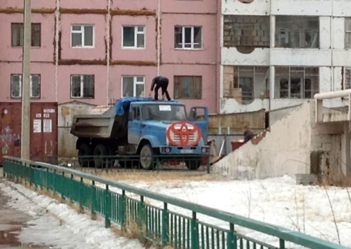 Забавные картинки