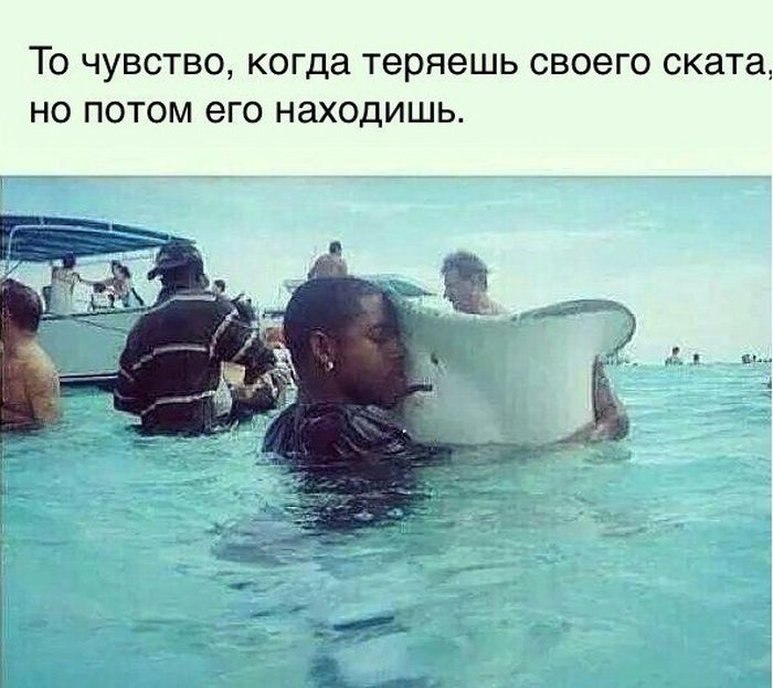 Забавные картинки