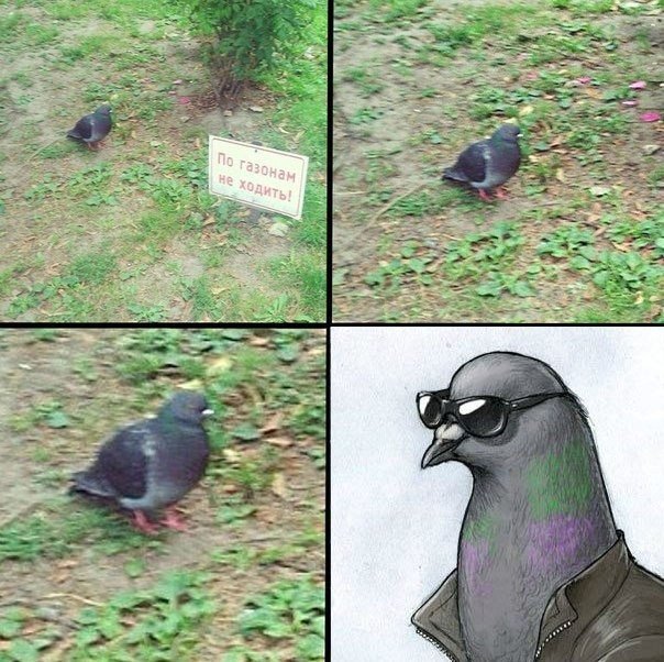 Забавные картинки