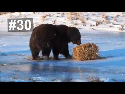 We Love Russia 2015 - Russian Fail Compilation #30
