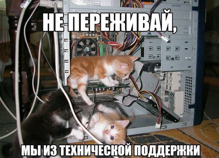 Забавные картинки