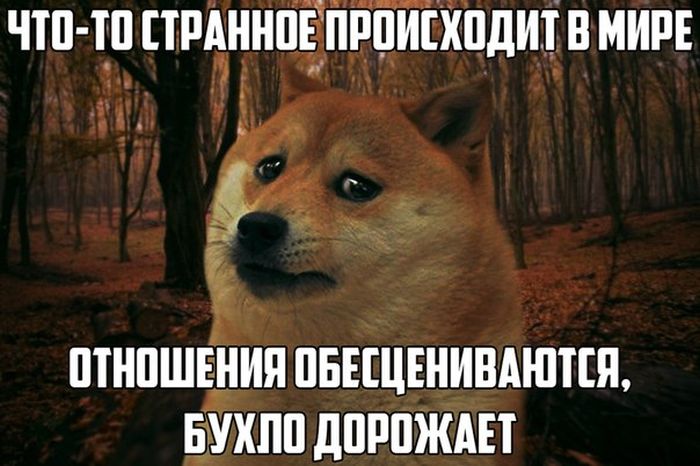 Порция картинок
