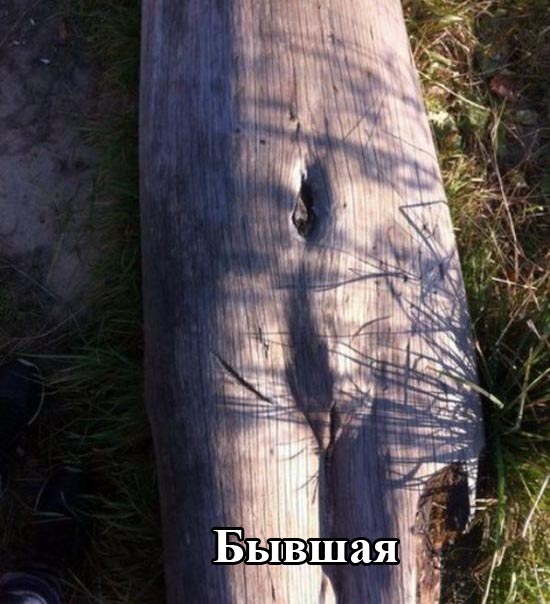 Порция картинок