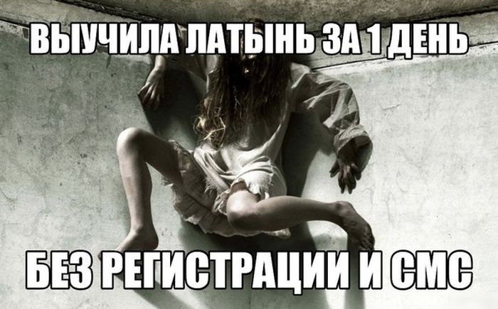 Порция картинок