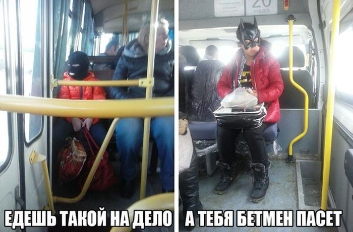 Порция картинок