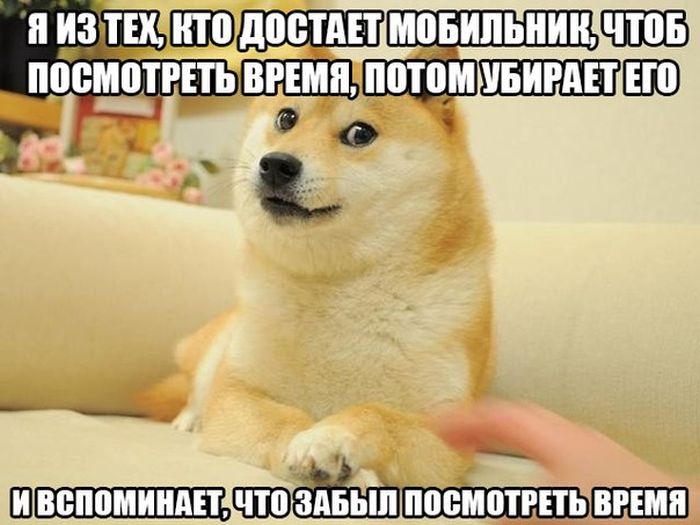 Порция картинок